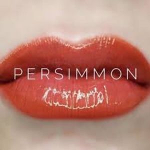 LipSense - Persimmon